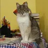 Отзыв от Инга Голикова